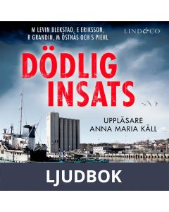 Dödlig insats, Ljudbok