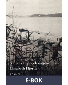 Nattens regn och dagens möda, E-bok