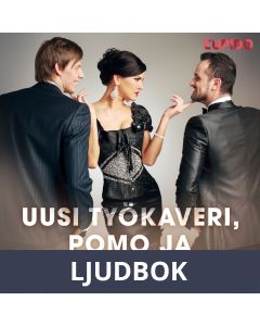 Uusi työkaveri, pomo ja sihteeri, Ljudbok
