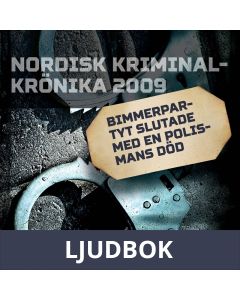 Bimmerpartyt slutade med en polismans död, Ljudbok