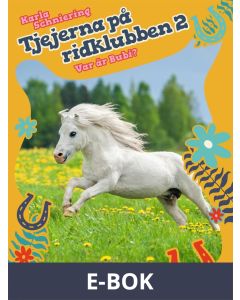 Tjejerna på ridklubben 2 - Var är Bubi?, E-bok