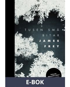Tusen små bitar, E-bok