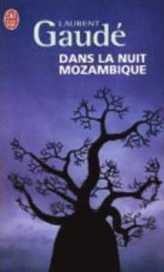 Dans la nuit Mozambique