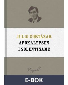 Apokalypsen i Solentiname, E-bok