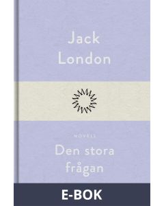 Den stora frågan, E-bok