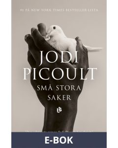 Små stora saker , E-bok