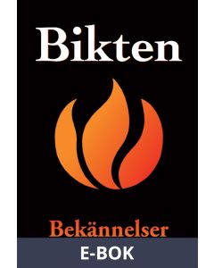 Bikten : bekännelser från vanliga människor (PDF), E-bok