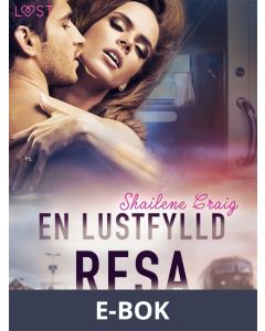 En lustfylld resa - erotisk novell, E-bok