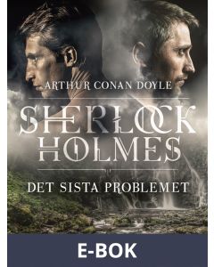 Det sista problemet, E-bok