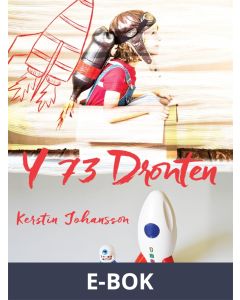 Y 73 Dronten, E-bok