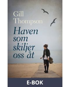 Haven som skiljer oss åt, E-bok
