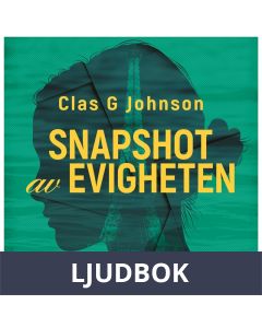Snapshot av evigheten, Ljudbok