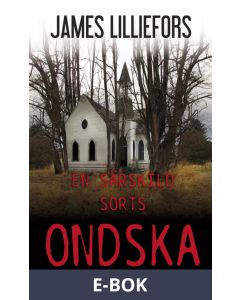 En särskild sorts ondska, E-bok