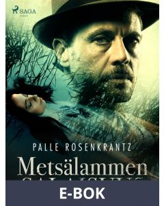 Metsälammen salaisuus, E-bok