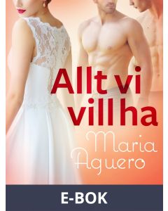 Allt vi vill ha - erotisk novell, E-bok