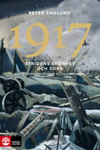 1917 Stridens skönhet och sorg : första världskrigets fjärde år i 108 korta
