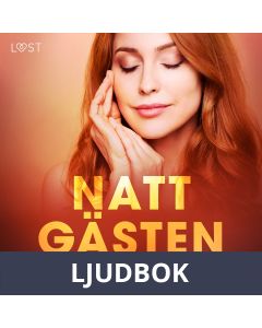 Nattgästen - erotisk novell, Ljudbok