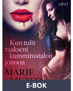 Kun tulit taakseni kummitustalon jonoon - eroottinen novelli, E-bok