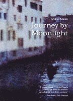 Journey by Moonlight