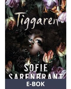 Tiggaren, E-bok