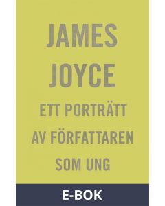 Ett porträtt av författaren som ung, E-bok