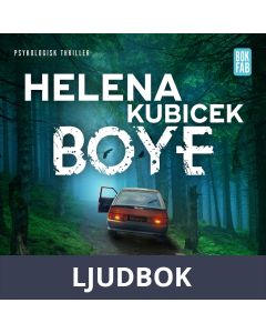 När allt brister, Ljudbok