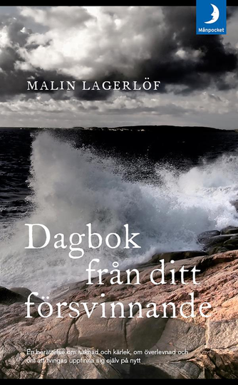 Dagbok Från Ditt Försvinnande