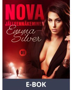 Nova 1: Jälleennäkeminen - eroottinen novelli, E-bok