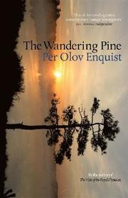 The Wandering Pine