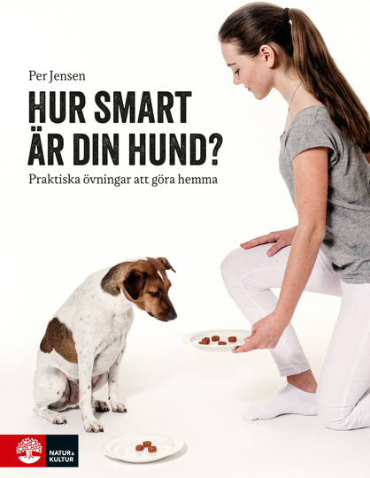 Hur Smart Är Din Hund - Praktiska Övningar Att Göra Hemma