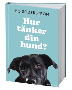 Hur tänker din hund?