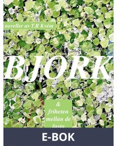 BJORK: friheten mellan de fasta ytorna, E-bok