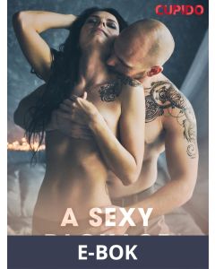 A Sexy Package, E-bok