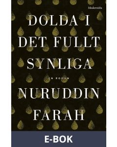 Dolda i det fullt synliga, E-bok