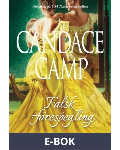 Falsk förespegling, E-bok