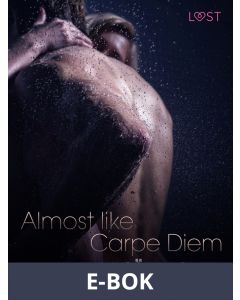 Almost like Carpe Diem - Erotic Short Story, E-bok