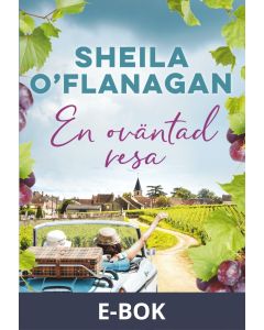En oväntad resa, E-bok