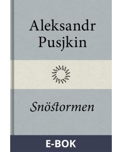 Snöstormen, E-bok