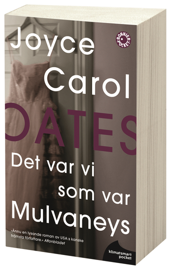 Det Var Vi Som Var Mulvaneys