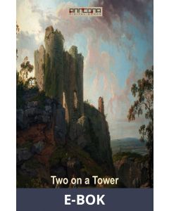 Two On A Tower, E-bok