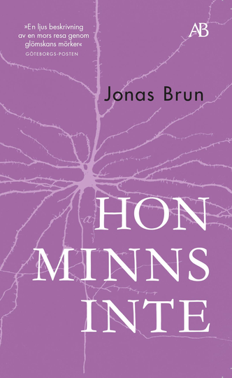 Hon Minns Inte