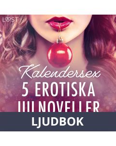 Kalendersex - 5 erotiska julnoveller, Ljudbok