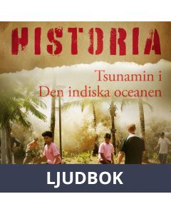 Tsunamin i Den indiska oceanen, Ljudbok