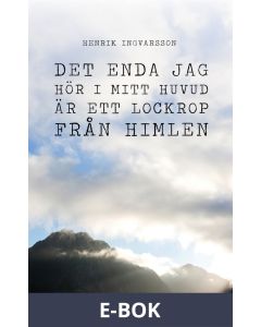 Det enda jag hör i mitt huvud är ett lockrop från himlen, E-bok