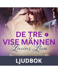 De tre vise männen 2 - BDSM erotik, Ljudbok