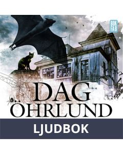 Något i hans blick, Ljudbok