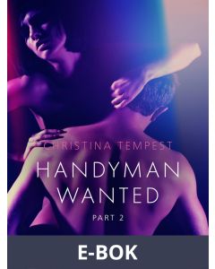 Handyman Wanted Part 2 - Erotic Short Story, E-bok
