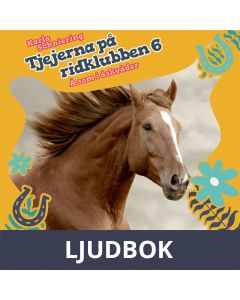 Tjejerna på ridklubben 6 - Å som i åskväder, Ljudbok