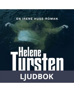 Det lömska nätet, Ljudbok