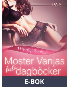 Moster Vanjas heta dagböcker 1: Hemligt lönnfack - erotisk novell, E-bok